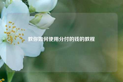 教你如何使用分付的钱的教程