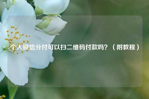 个人微信分付可以扫二维码付款吗?(附教程)