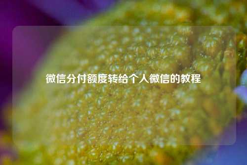 微信分付额度转给个人微信的教程