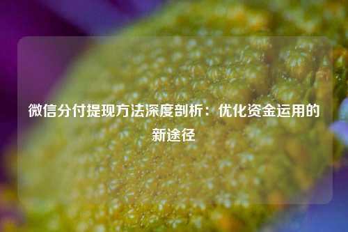 微信分付提现方法深度剖析：优化资金运用的新途径